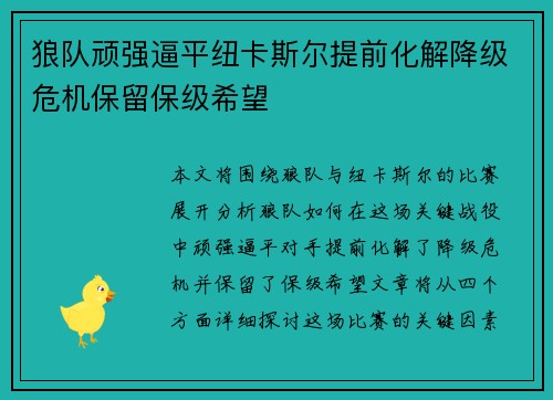 狼队顽强逼平纽卡斯尔提前化解降级危机保留保级希望