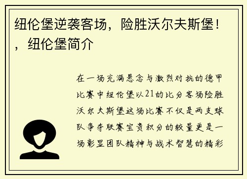 纽伦堡逆袭客场，险胜沃尔夫斯堡！，纽伦堡简介