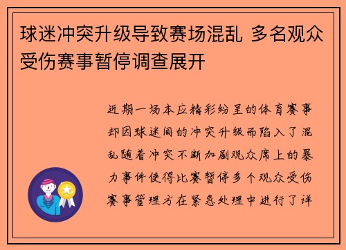球迷冲突升级导致赛场混乱 多名观众受伤赛事暂停调查展开